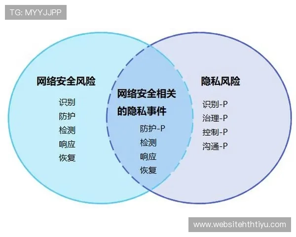 v体育app的安全性分析与隐私保护措施，保障用户个人信息安全